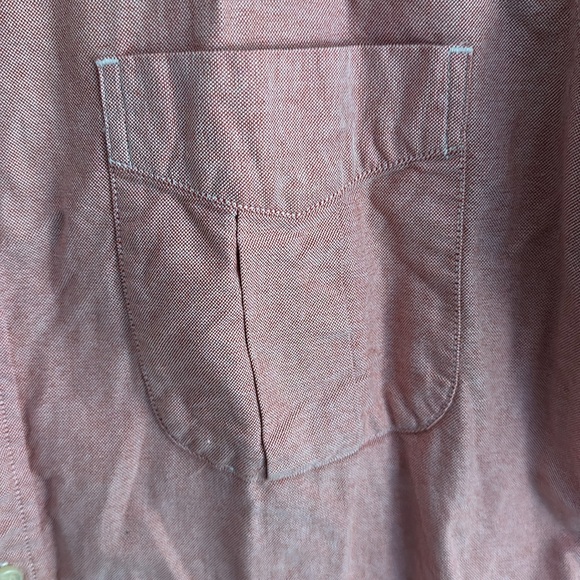 Wings + Horns Short Sleeve - Picture 5 of 6